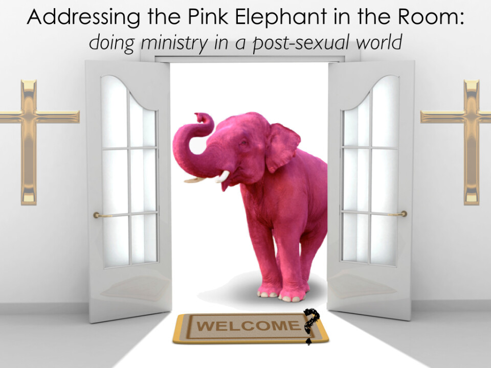Addressing The Pink Elephant In The Room Doing Ministry In